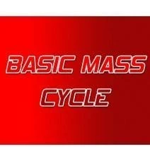 Basic Mass Steroid Cycle Basic Mass Steroid Cycle