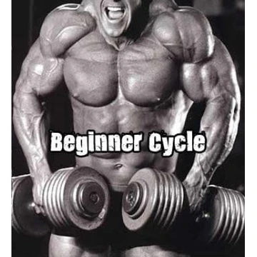 Beginner Steroid Cycle