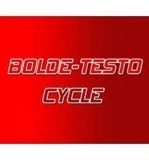 Bolde - Testo Cycle Bolde - Testo Cycle