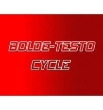 Bolde - Testo Cycle product reference Bolde - Testo Cycle product packaging reference