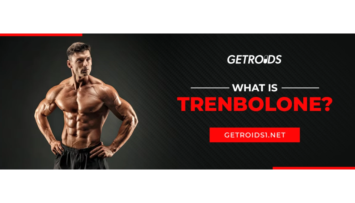 What is Trenbolone? What is Trenbolone?