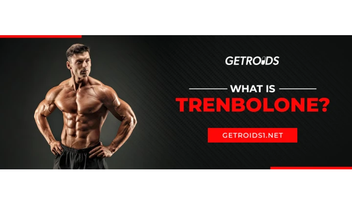 What is Trenbolone?