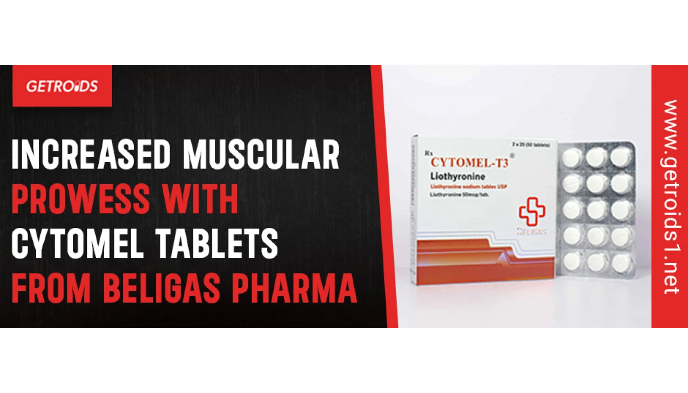 Increased Muscular Prowess with Cytomel Tablets from Beligas Pharma Increased Muscular Prowess with Cytomel Tablets from Beligas Pharma