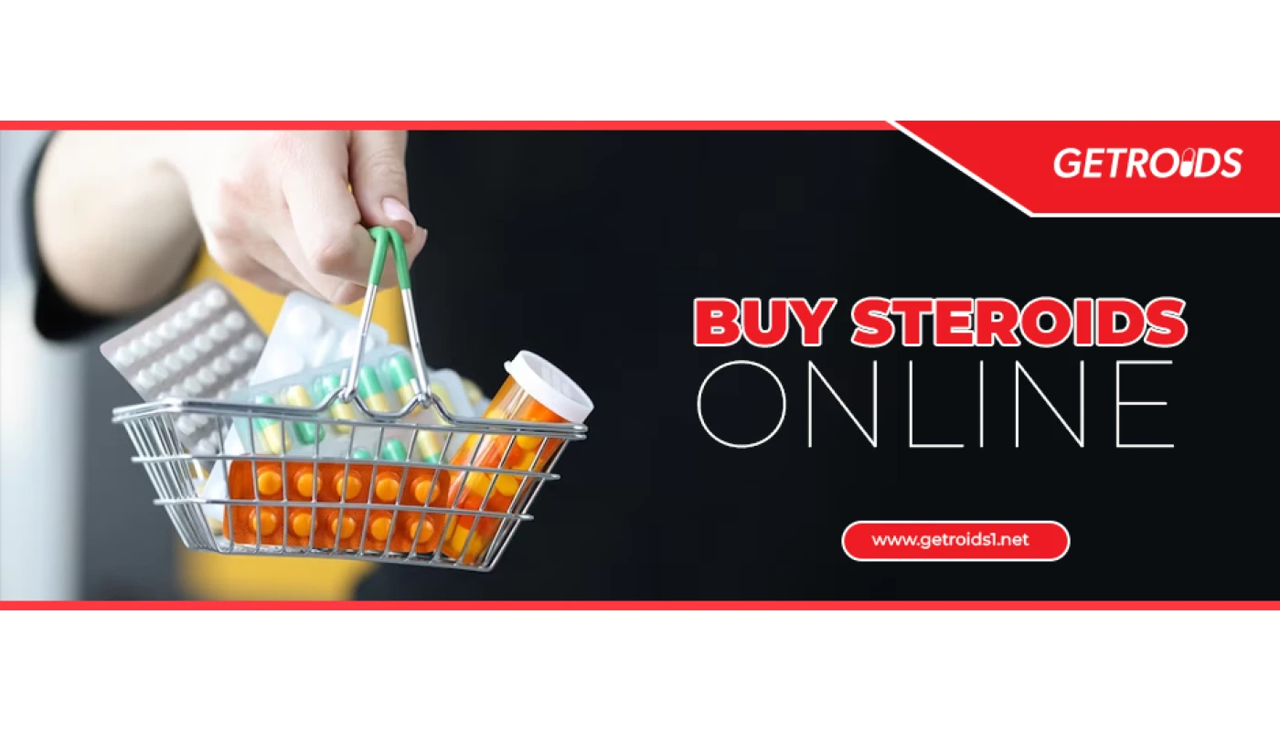 Buy Steroids Online for Your Safe Steroid Cycles Buy Steroids Online for Your Safe Steroid Cycles