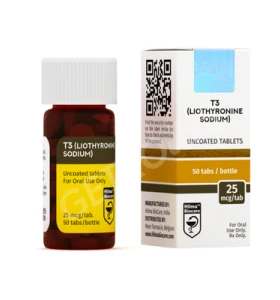 T3 Hilma Biocare EU T3 Hilma Biocare EU