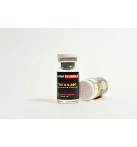 Testo E 2500 mg 10 ml Para Pharma Testo E 2500 mg 10 ml Para Pharma vial product image