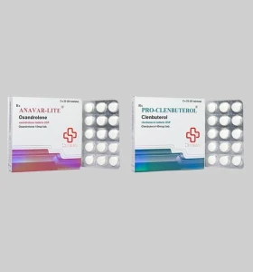 Beligas Lady Oral Shred Stack – Int Beligas Lady Oral Shred Stack – Int