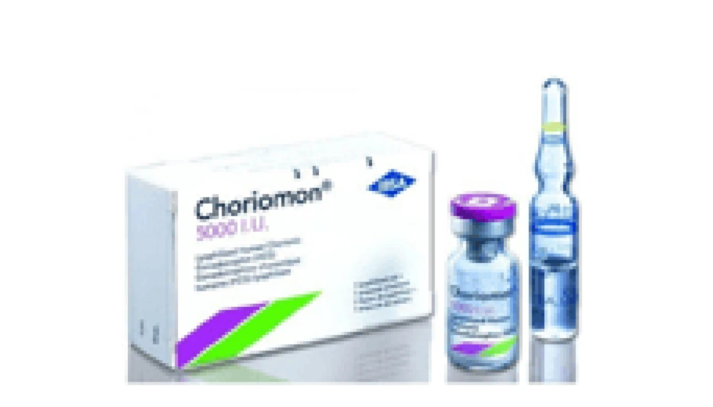 Make the consumption of HCG supplements and get rid of obesity swiftly Make the consumption of HCG supplements and get rid of obesity swiftly