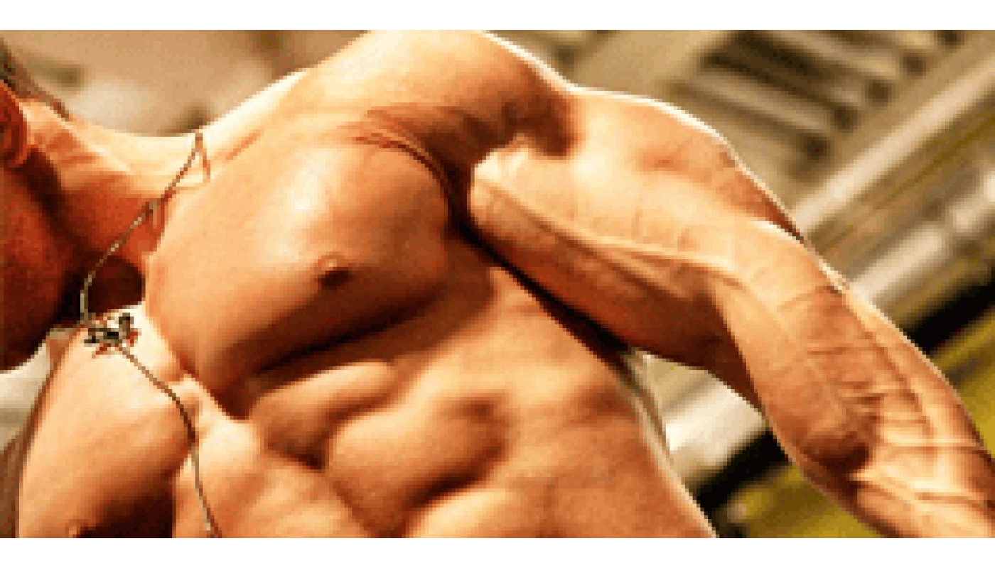 Everything that you should know about steroid cycles for beginners Everything that you should know about steroid cycles for beginners