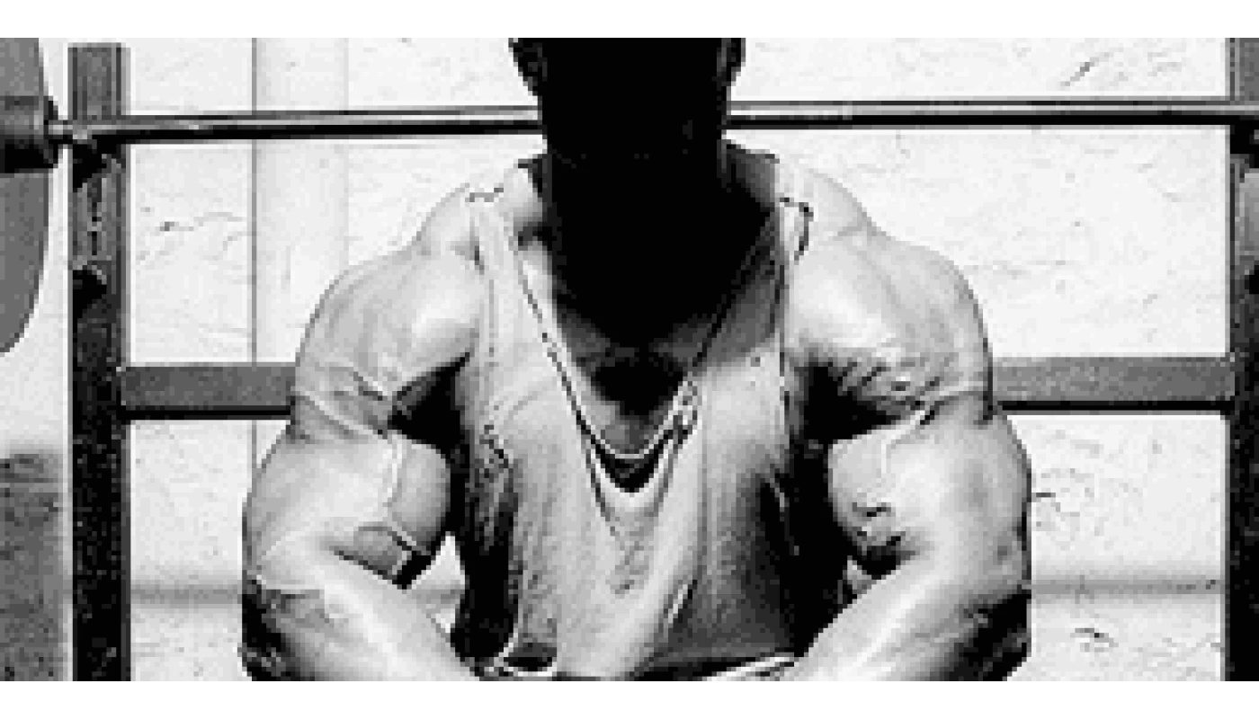 Offering you to gain your desired physical qualities rapidly Offering you to gain your desired physical qualities rapidly