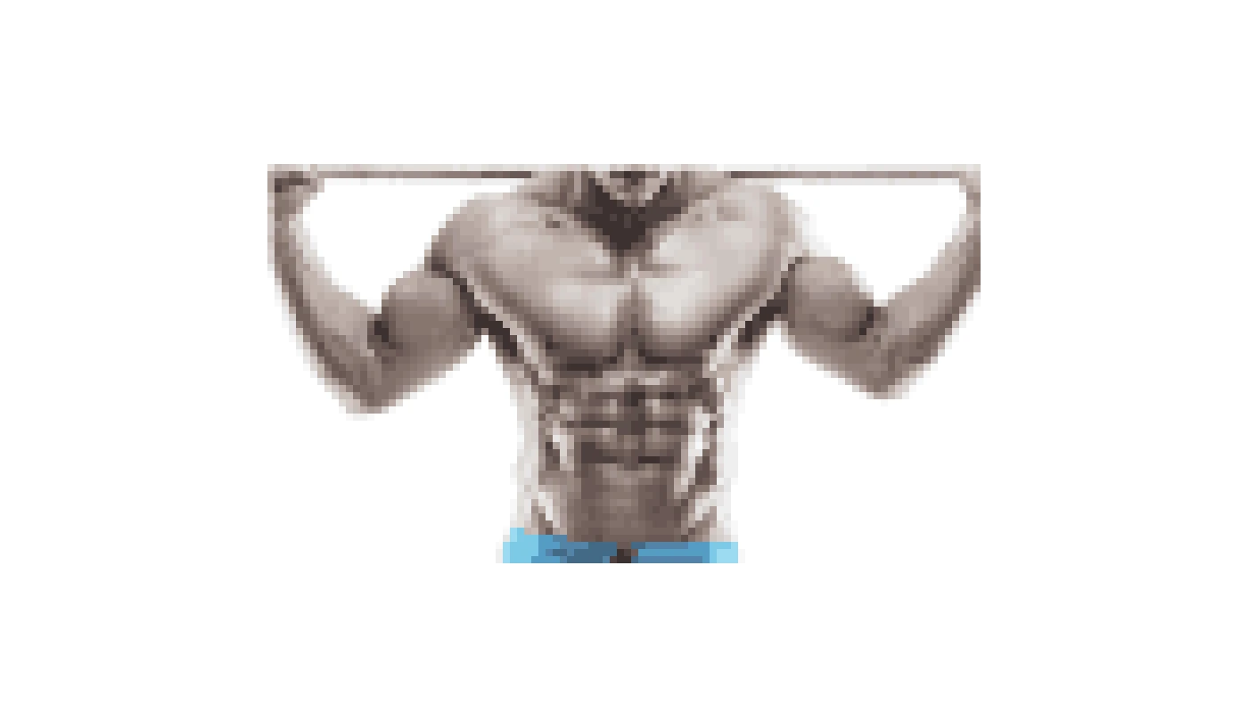 Online Shop v/s Physical Store: Where to get Steroids for Sale? Online Shop v/s Physical Store: Where to get Steroids for Sale?