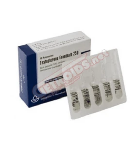 Testosterone Enanthate 1 Amp 250 mg Aburaihan