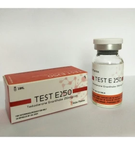 Test E 2500 mg 10 ml Maha Pharma Test E 2500 mg 10 ml Maha Pharma