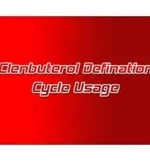 Clenbuterol Definition Cycle Clenbuterol Definition Cycle