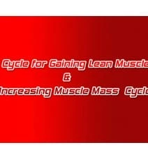 Cycle for Gaining Lean Muscle & Increasing Muscle Mass Cycle for Gaining Lean Muscle & Increasing Muscle Mass
