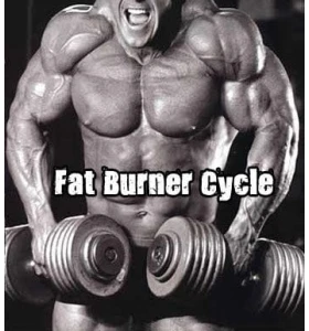 Fat Burner Cycle Fat Burner Cycle