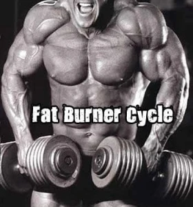Fat Burner Cycle Fat Burner Cycle